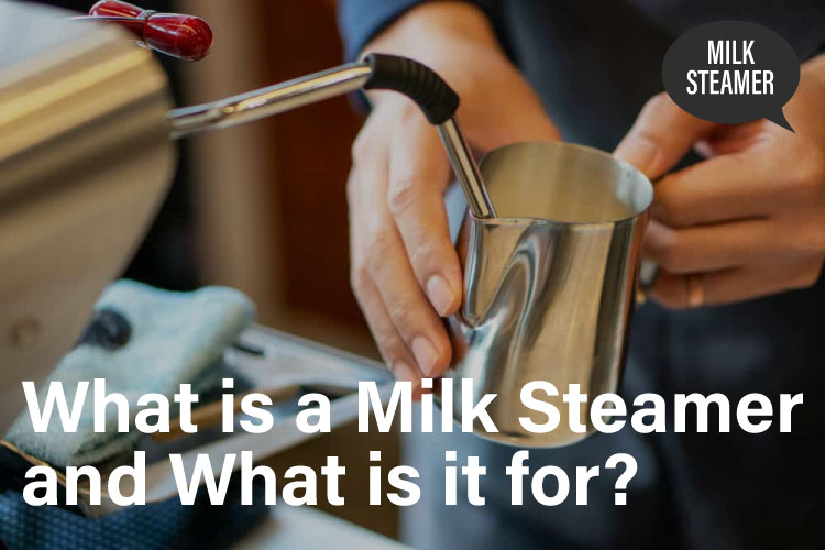 What is a Milk Steamer and What is it for?