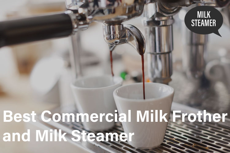 Best Commercial Milk Frother and Milk Steamer