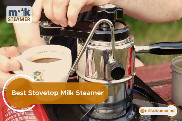 Best Stovetop Milk Steamer